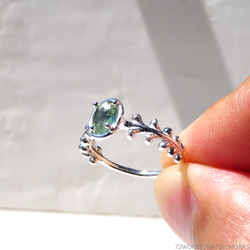 トルマリン リング / Botanical Tourmaline Ring g 5枚目の画像