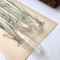 古い手吹きガラスボトル　アンティーク試験管　グラス　古道具　標本箱 フラワーベース　大正時代 3枚目の画像