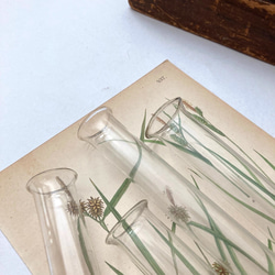 古い手吹きガラスボトル　アンティーク試験管　グラス　古道具　標本箱 フラワーベース　大正時代 2枚目の画像