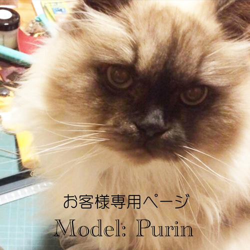 うちの子オーダー2025【オーダー例_ヒマラヤンのプリン君】羊毛