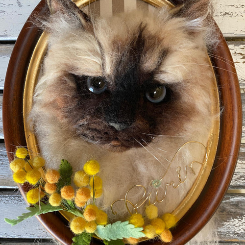 うちの子オーダー2025【オーダー例_ヒマラヤンのプリン君】羊毛