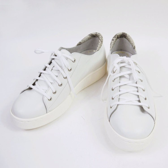 Python 圖案重音。簡約實用的超輕運動鞋 日本製 真皮 22.5cm至25.5cm 第9張的照片