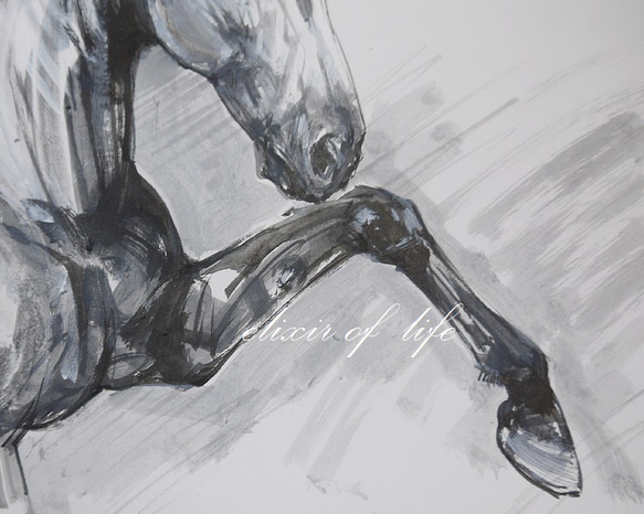 若い葦毛の馬２０２２(A4サイズ、29cm×２１ｃｍ、水彩画用紙、墨、アクリル) 3枚目の画像