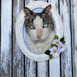 【オーダー例_ちゃま君】羊毛フェルト、猫ぬいぐるみ、フェルト猫、半立体肖像画、オーダーメイド 5枚目の画像