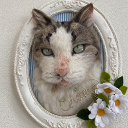 【オーダー例_ちゃま君】羊毛フェルト、猫ぬいぐるみ、フェルト猫、半立体肖像画、オーダーメイド 7枚目の画像