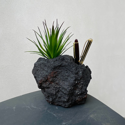 ペン立て、植木鉢、グラフィティーアート ペン立て、植木鉢、グラフィティーアート Amazon.co.jp: グラフィティ