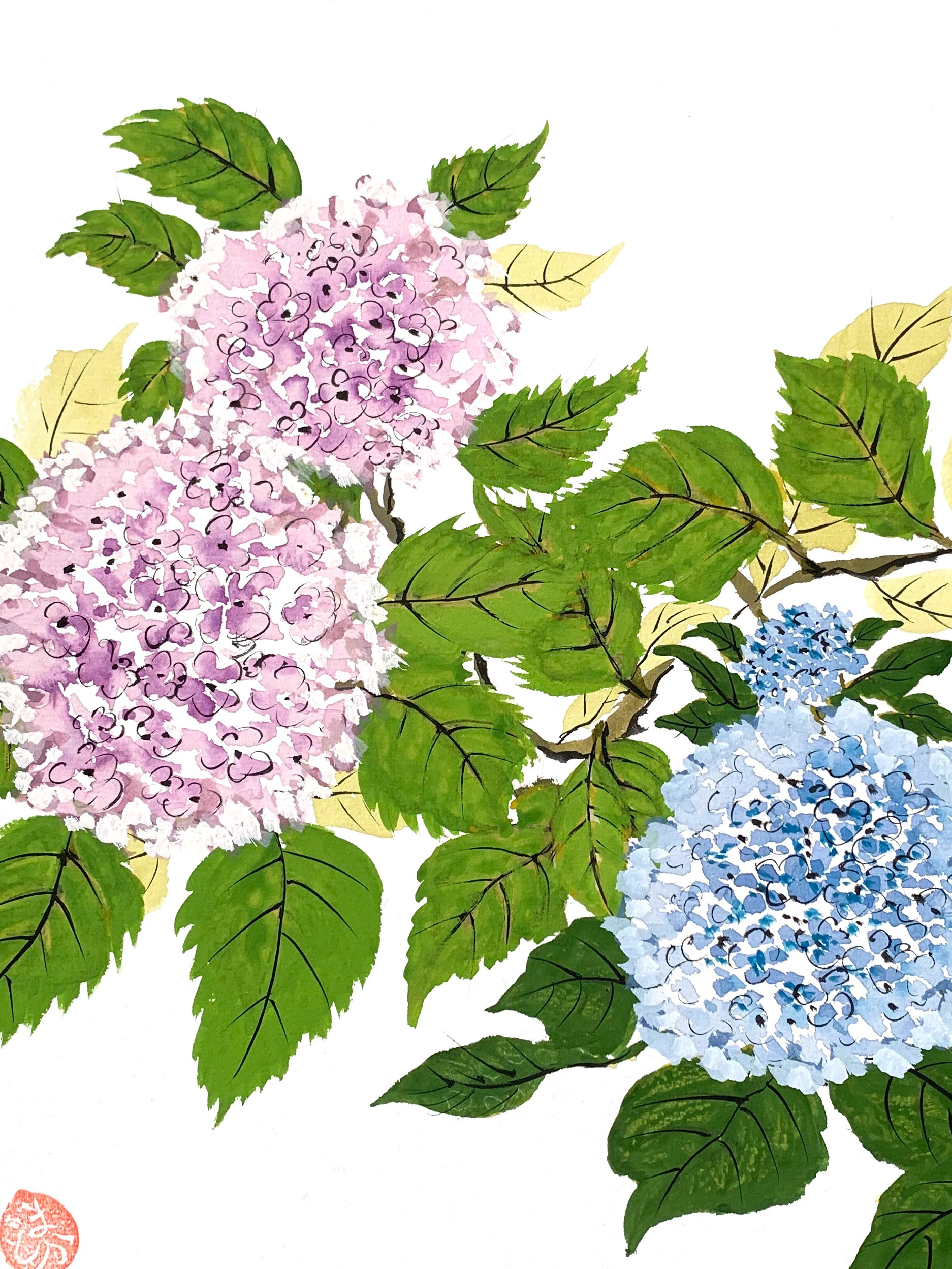 紫陽花 水彩画 色紙 短冊 7枚セット Amazon.co.jp: 中村千春「紫陽花」色紙絵 : ホーム＆キッチン