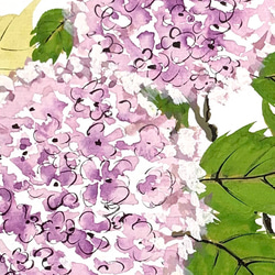 季節の手描き色紙　紫陽花 3枚目の画像