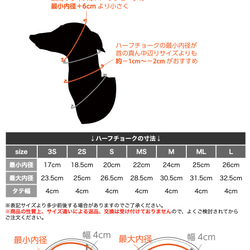  第6張的照片