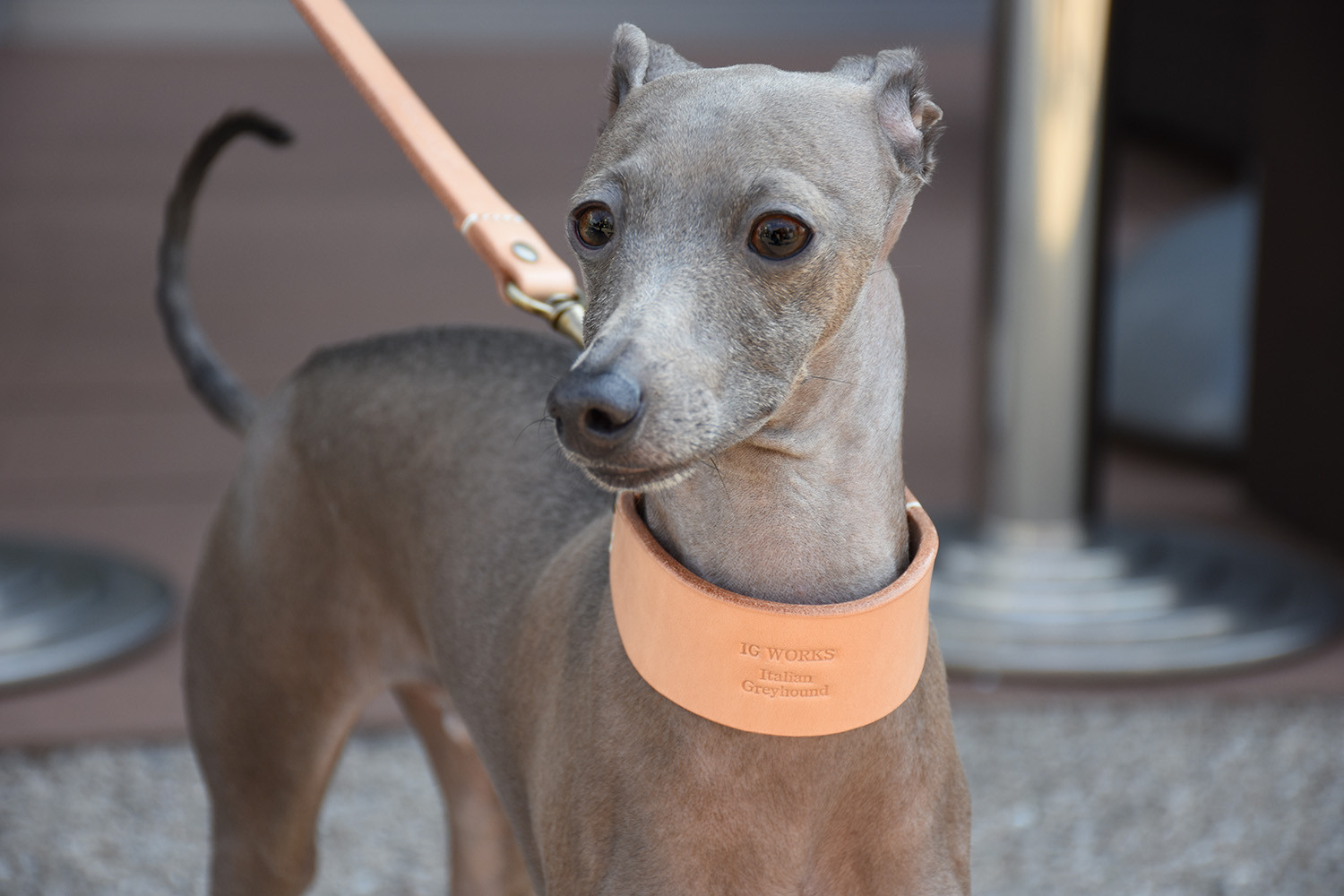 姫路レザーIGハーフチョーク／オイルタン