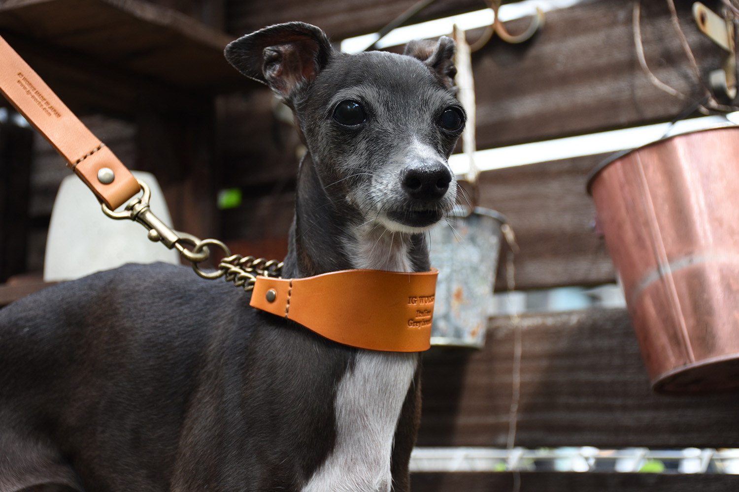 姫路レザーIGハーフチョーク／キャメルイエロー