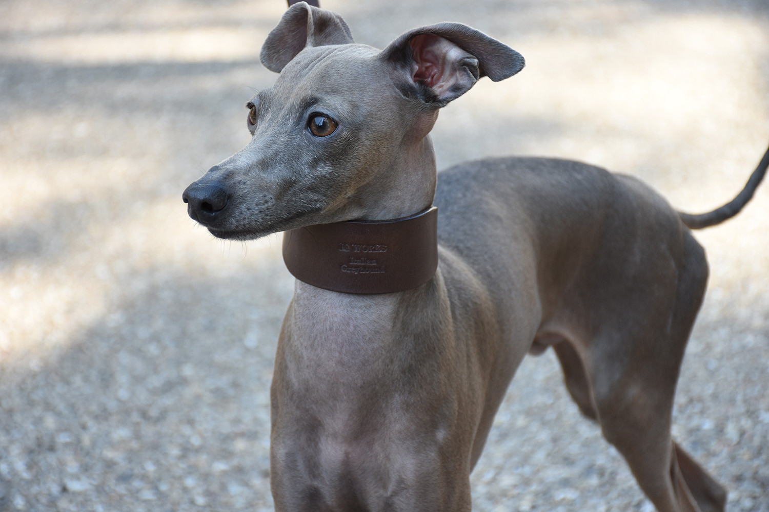 姫路レザーIGハーフチョーク／ローストブラウン