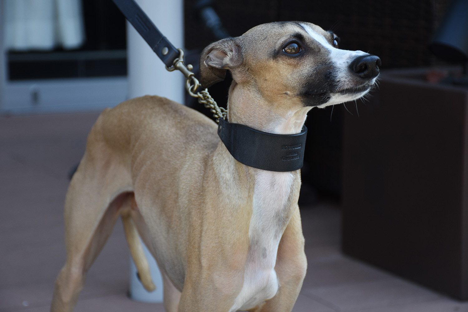 姫路レザーIGハーフチョーク／スミブラック