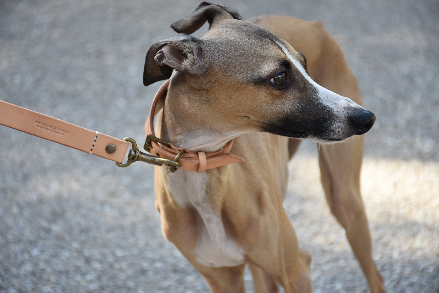 姫路レザーIGカラー／オイルタン