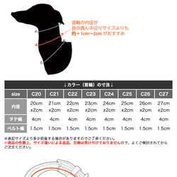 姫路レザーIGカラー／オイルタン 6枚目の画像