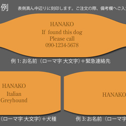  第5張的照片