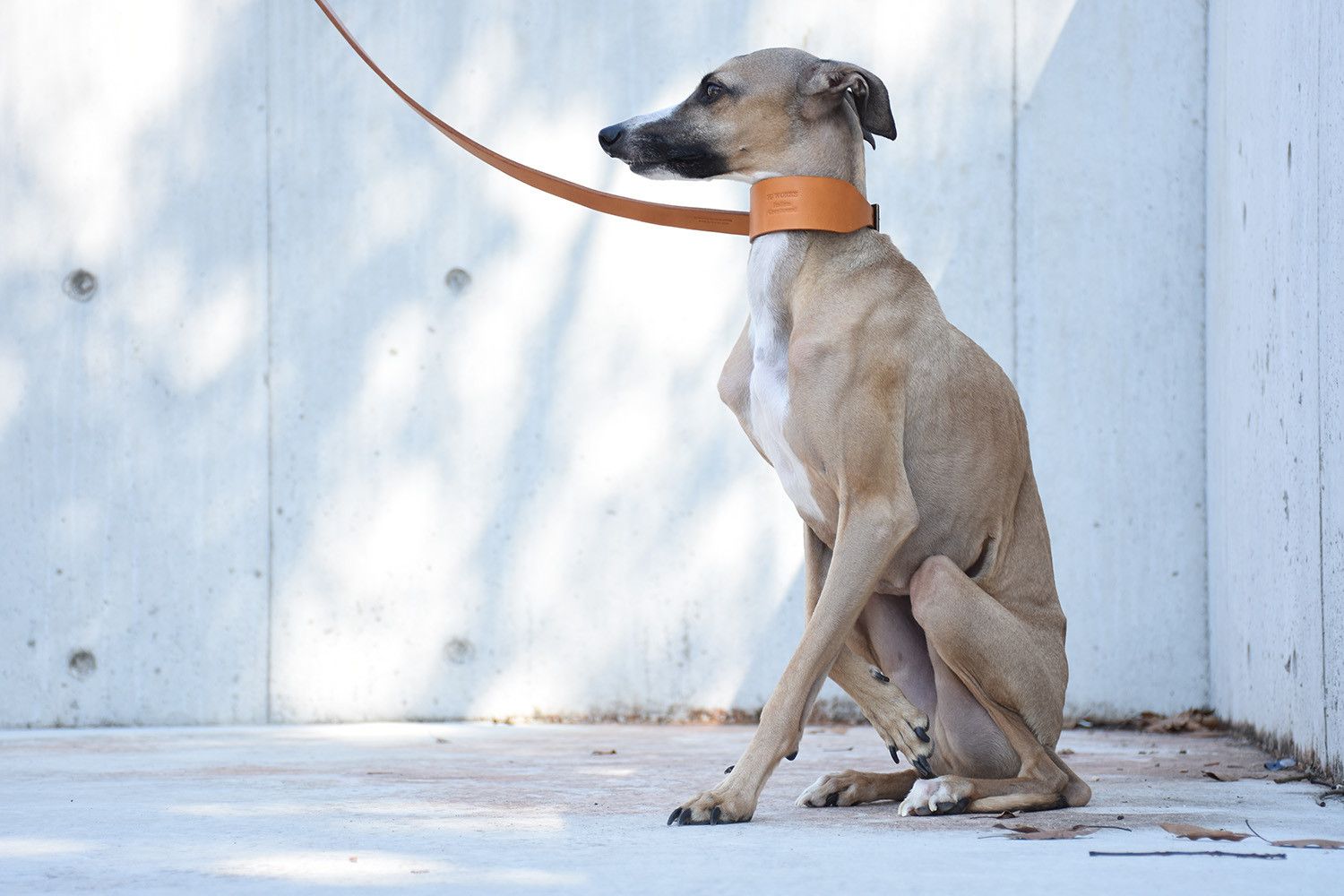 姫路レザーIGカラー／キャメルイエロー