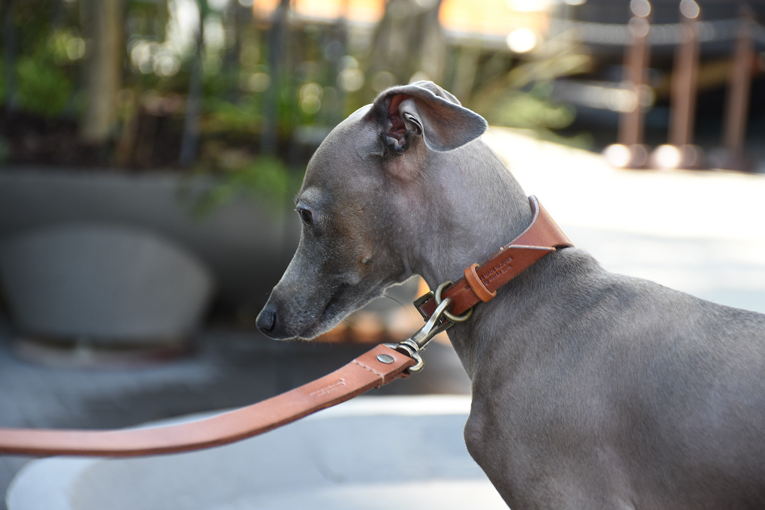 姫路レザーIGカラー／レンガブラウン