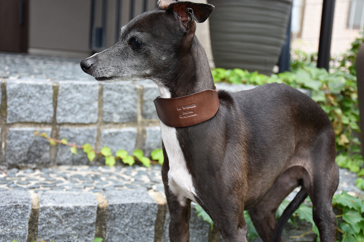 姫路レザーIGカラー／ローストブラウン