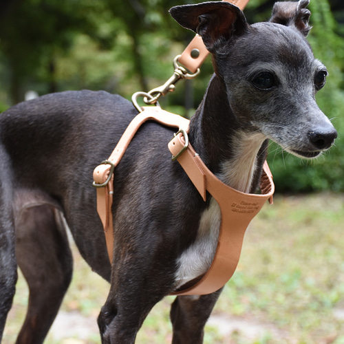 CDOｰSLHG25CDPI〈TN〉】犬の首輪〈サイズ「L」〉 牛革 人気