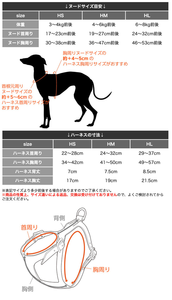  第6張的照片