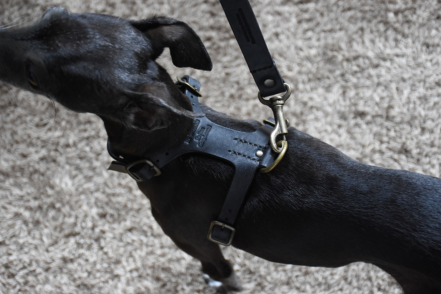 姫路レザーIGハーネス／スミブラック 7,538円