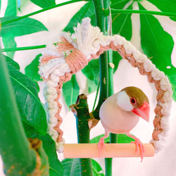 ♡オシャレな小鳥さんオーダーページ✨