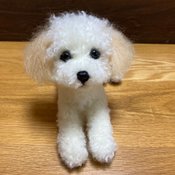 愛犬ちゃんのそっくりなリアルなペット人形をお作りします！　羊毛フェルト　犬　オーダー　ぬいぐるみ　愛犬　　ペット　リアル 3枚目の画像