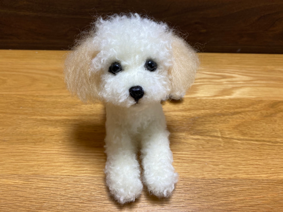 愛犬ちゃんのそっくりなリアルなペット人形をお作りします！　羊毛フェルト　犬　オーダー　ぬいぐるみ　愛犬　　ペット　リアル 3枚目の画像