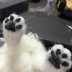 愛犬ちゃんのそっくりなリアルなペット人形をお作りします！　羊毛フェルト　犬　オーダー　ぬいぐるみ　愛犬　　ペット　リアル 9枚目の画像