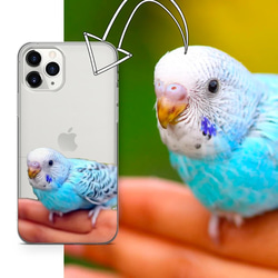 【訂做】我的孩子智慧型手機殼鸚鵡寵物肖像漫畫 Ho 手機殼相容 iPhone15 14 13 所有型號 第1張的照片