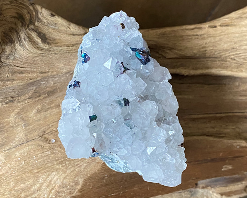 af67a294d303cff9cb51a08877114e