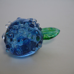 玻璃繡球花（藍色繡球花） 第3張的照片