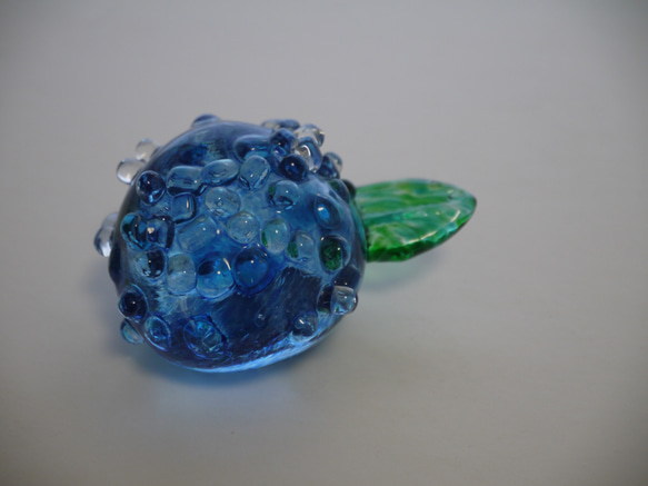 玻璃繡球花（藍色繡球花） 第3張的照片