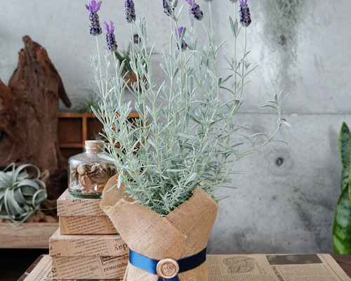 bd1569afaa3e61915f23ddee210f58