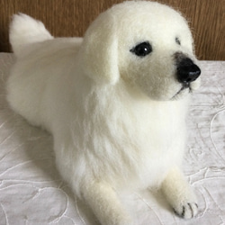 羊毛フェルト　犬　グレートピレニーズ 6枚目の画像