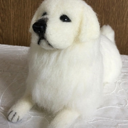羊毛フェルト　犬　グレートピレニーズ 7枚目の画像