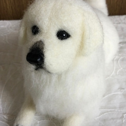 羊毛フェルト　犬　グレートピレニーズ 8枚目の画像