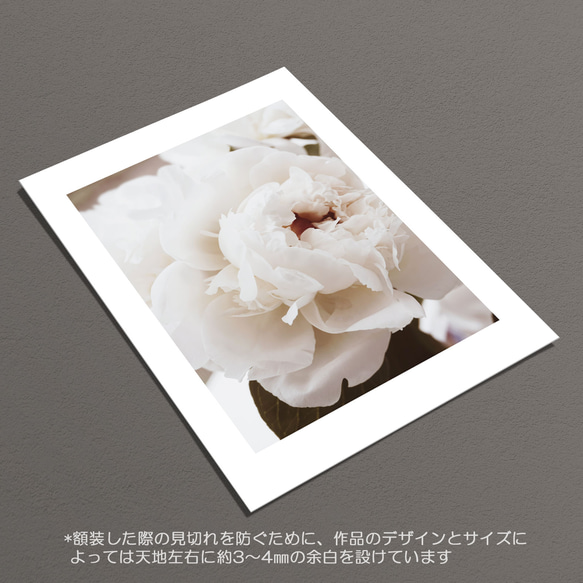 ☆インテリアフォトポスター -romantic piony-【366】 6枚目の画像