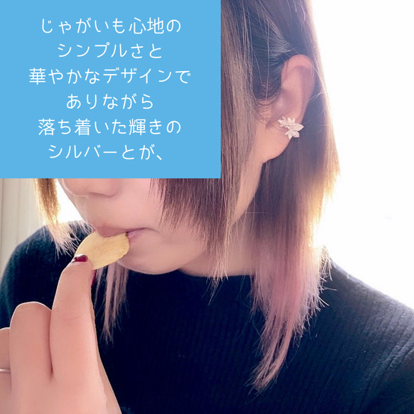 ピュアなじゃがいもの花のイヤーカフ◇湖池屋×Creemaクリエイターコラボ企画エントリー作品◇シルバー　純銀　イヤカフ 17枚目の画像