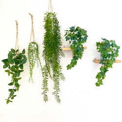【B】ハンギングプランツ3点セット(ポリゴファーン・グリーンネックレス・フィットニア)左の3個　人工観葉植物 5枚目の画像