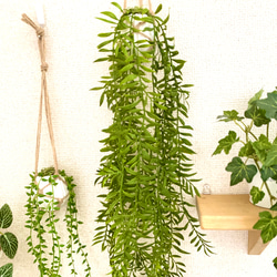 【B】ハンギングプランツ3点セット(ポリゴファーン・グリーンネックレス・フィットニア)左の3個　人工観葉植物 4枚目の画像