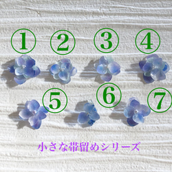【小さな帯留めシリーズ】本物　紫陽花　アクアグラデーション 帯留め 2枚目の画像