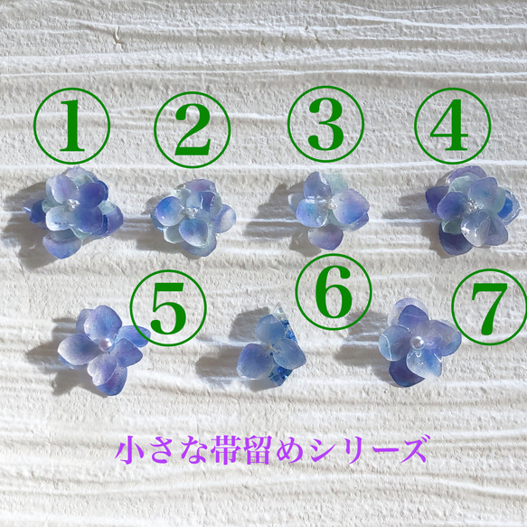 【小さな帯留めシリーズ】本物　紫陽花　アクアグラデーション 帯留め 2枚目の画像