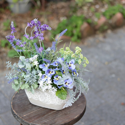 8e8ee4a1d3e3bea477cdbbc082ee79