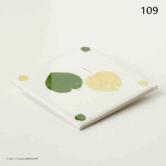 109 葉っぱタイル・カツラ （屋内壁用100角・1枚・プリントデザインタイル） 3枚目の画像