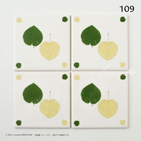 109 葉っぱタイル・カツラ （屋内壁用100角・1枚・プリントデザインタイル） 4枚目の画像
