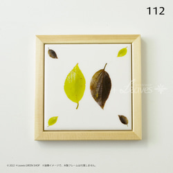 112 葉っぱタイル・エノキ （屋内壁用100角・1枚・プリントデザインタイル） 5枚目の画像