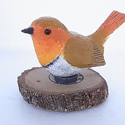 D☆ 鳥　野鳥　とり　小鳥　プレート　１４枚セット　盾3個 鳥 野鳥 とり 小鳥 プレート 14枚セット 盾3個