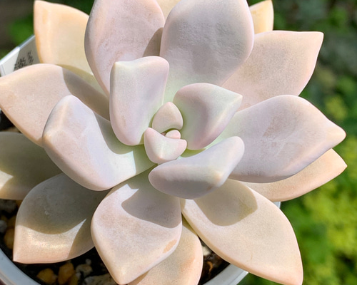 a05622fe90c55f39070766fcdd8253